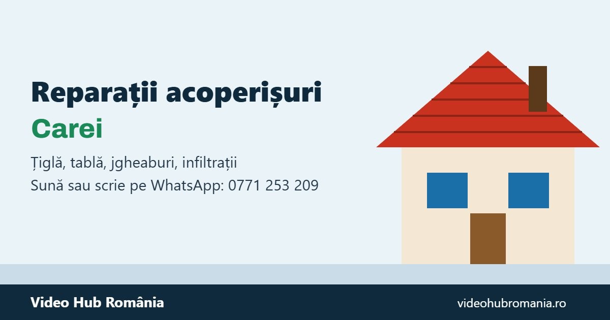 Reparații Acoperișuri Carei – sună sau scrie pe WhatsApp la 0771 253 209